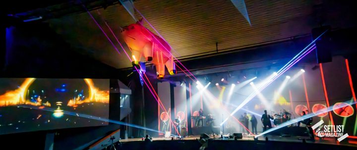 The Surrogate Band, foto 24