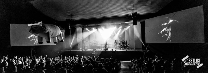The Surrogate Band, foto 29